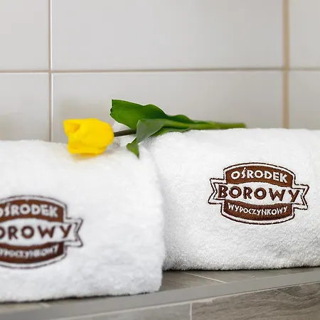 Osrodek Wypoczynkowy Borowy Station touristique