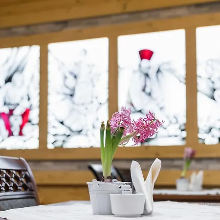 Osrodek Wypoczynkowy Borowy Resort 3*